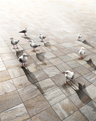 TRAIL18 QUAR BIA18 20 20X20X1.8 SC1 R11 A5650 00