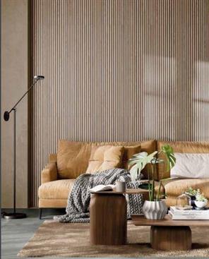 CANNE' ECRU'BLACK 60X120X0.85 RETT SC1 3R D50-5