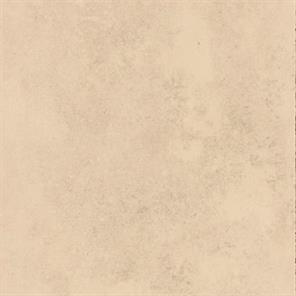 CONCRETE PROJECT CONPROJ 12B LP 60X120X1.05 RETT SC1 A7445 GD